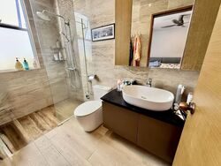 Holland Grove Road (D10), Terrace #582593551